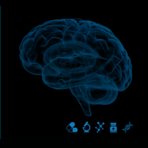 A transparent 3D model of a human brain accompanied by icons representing medicine.