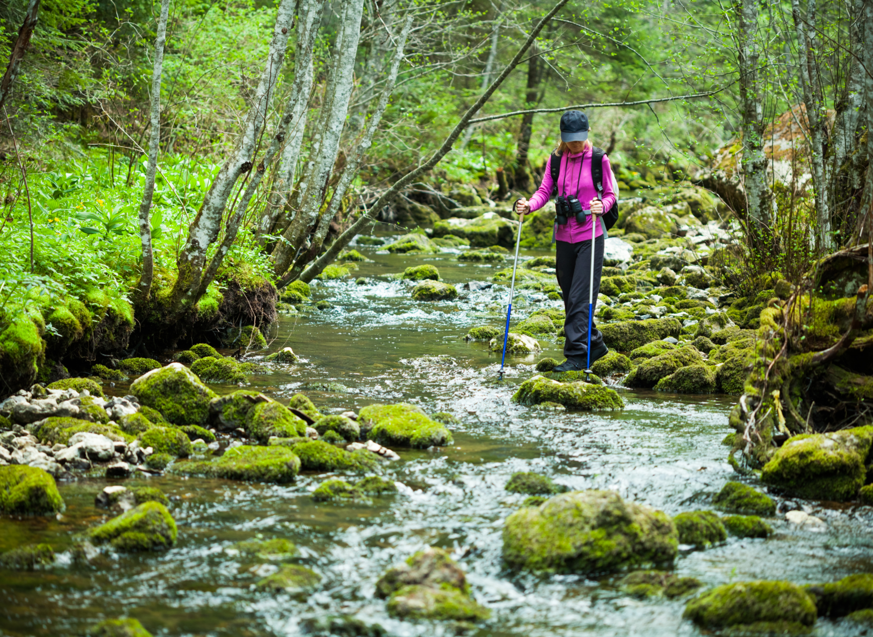 A woman walking through a lush forest alongside a winding river.