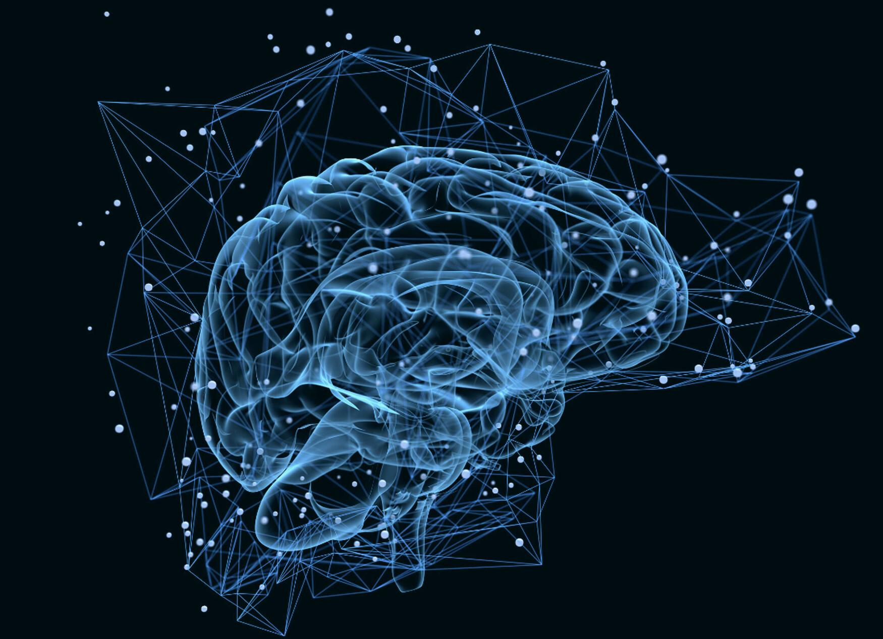 A 3D image of a brain surrounded by activity